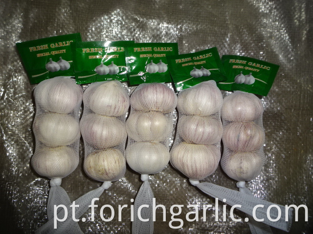 Crop 2019 Normal White Garlic